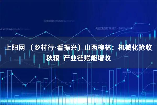 上阳网 （乡村行·看振兴）山西柳林：机械化抢收秋粮  产业链赋能增收