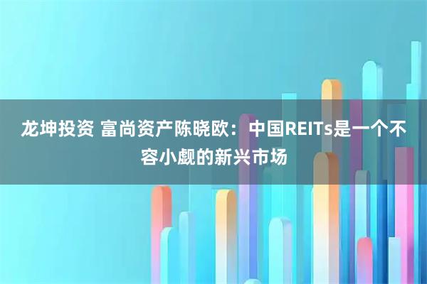 龙坤投资 富尚资产陈晓欧:中国REITs是一个不容小觑的新兴市场