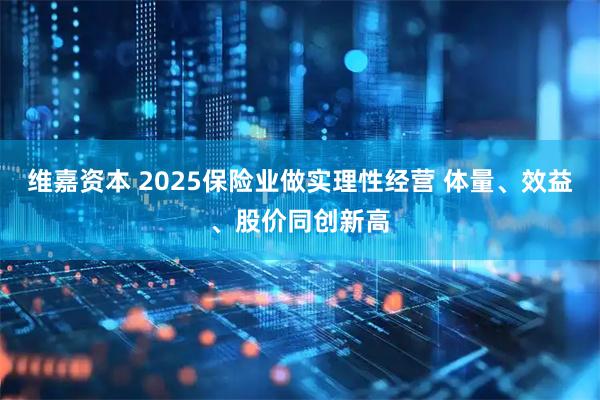维嘉资本 2025保险业做实理性经营 体量、效益、股价同创新高