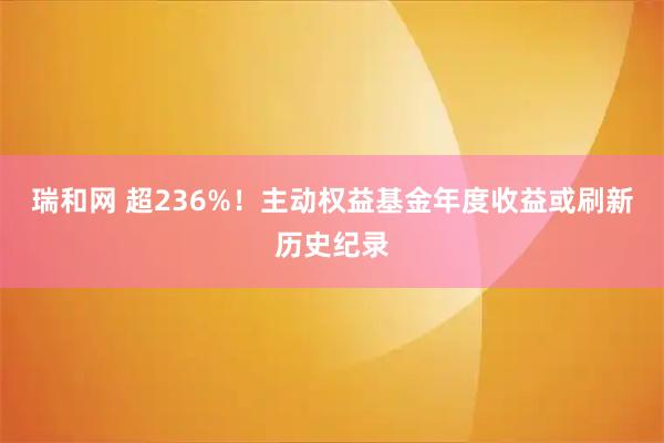 瑞和网 超236%！主动权益基金年度收益或刷新历史纪录